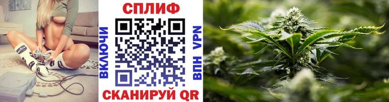 Шишки марихуана сатива Данилов