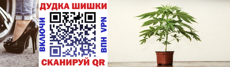 Каннабис VHQ  blacksprut ссылка  Данилов 